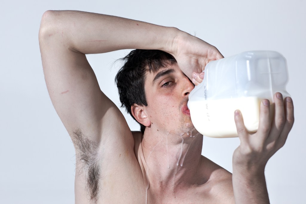 Animal – A&nbsp;Provocation